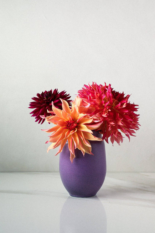 Aubade Haus Vase - Small