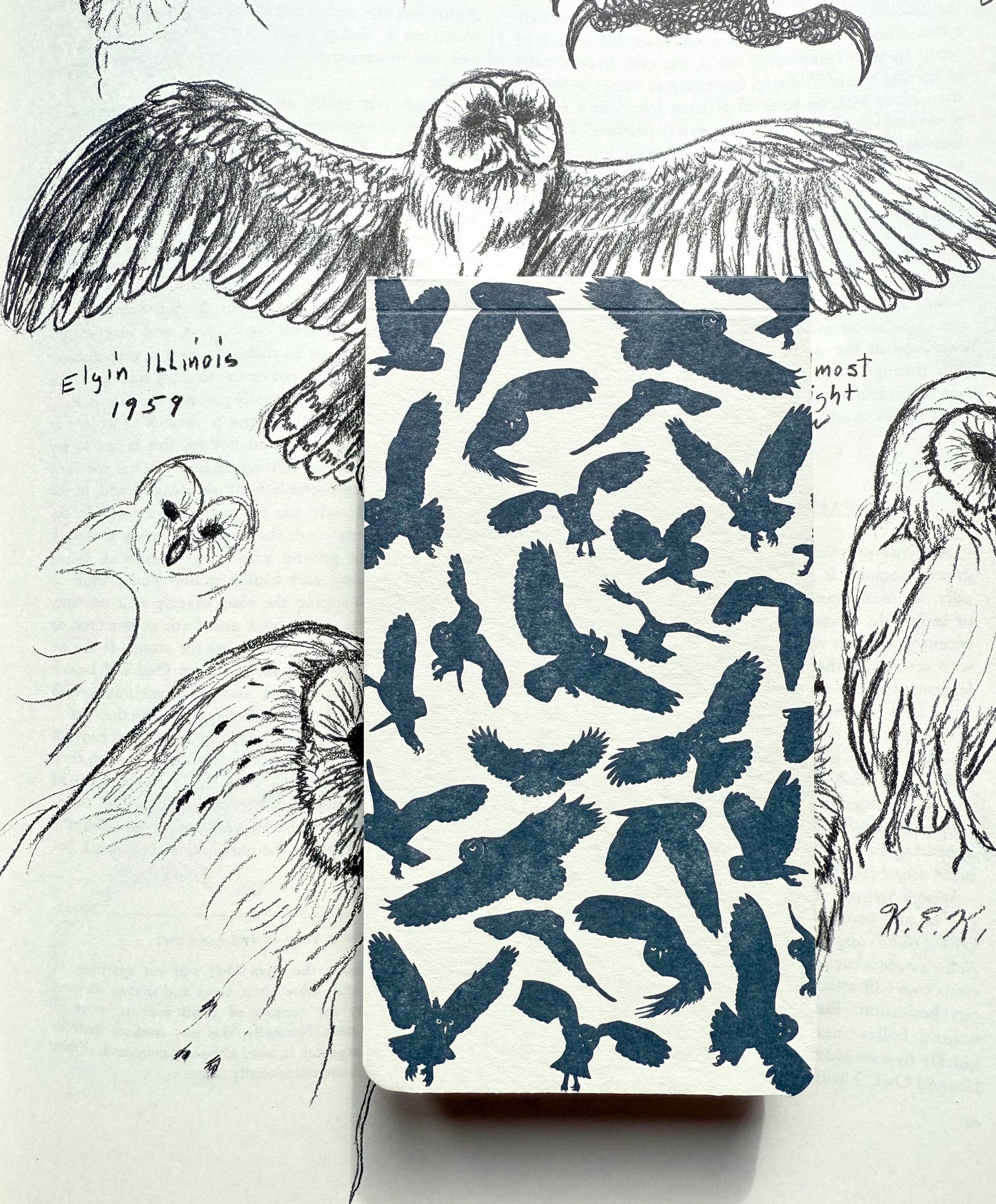 Wisdom of owls jotter notepad