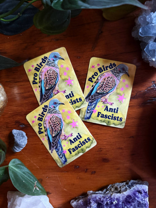 Pro Birds Anti Fascists: Feminist Sticker
