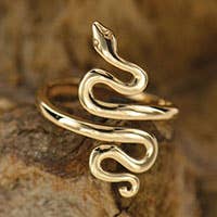 Bronze Adjustable Snake Ring