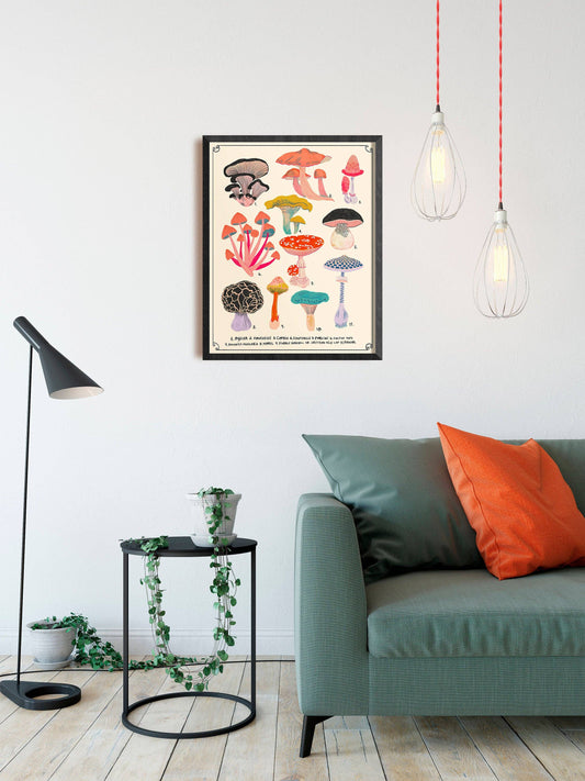 Types of Mushrooms Chart - Art Print