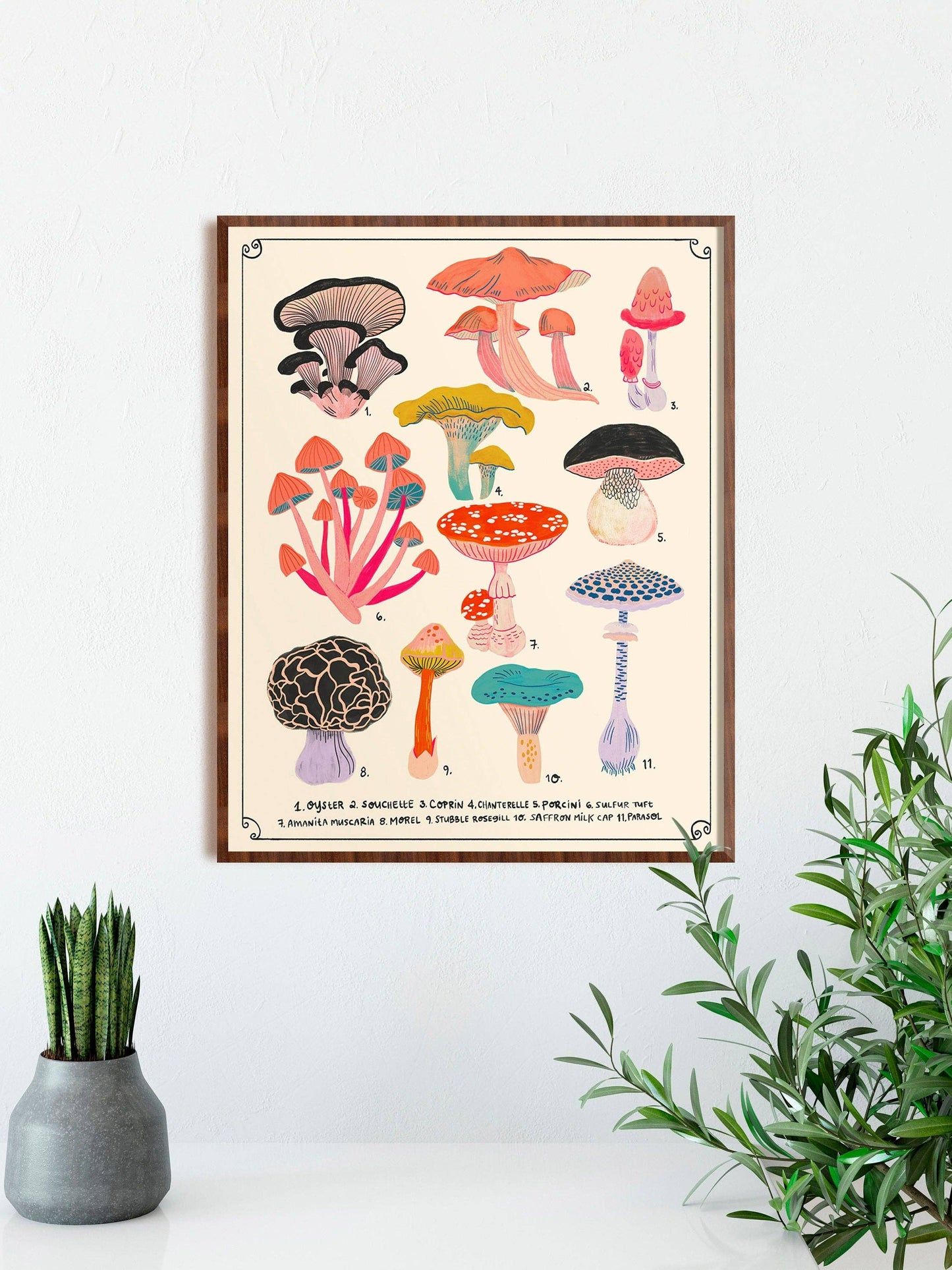 Types of Mushrooms Chart - Art Print