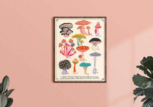 Types of Mushrooms Chart - Art Print