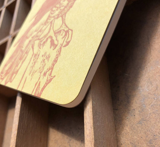 Northern goshawk jotter notepad