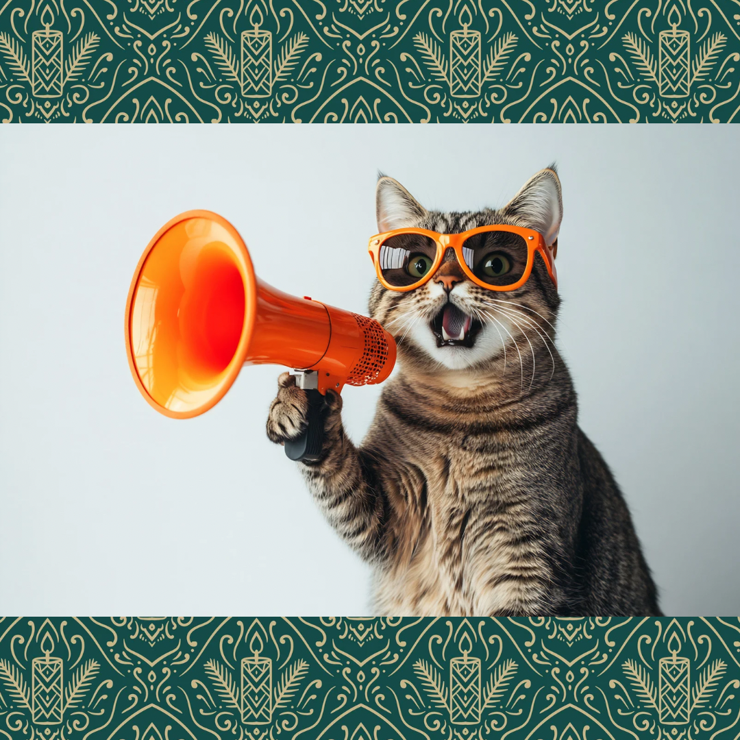 Cats Cats Kitty Cats