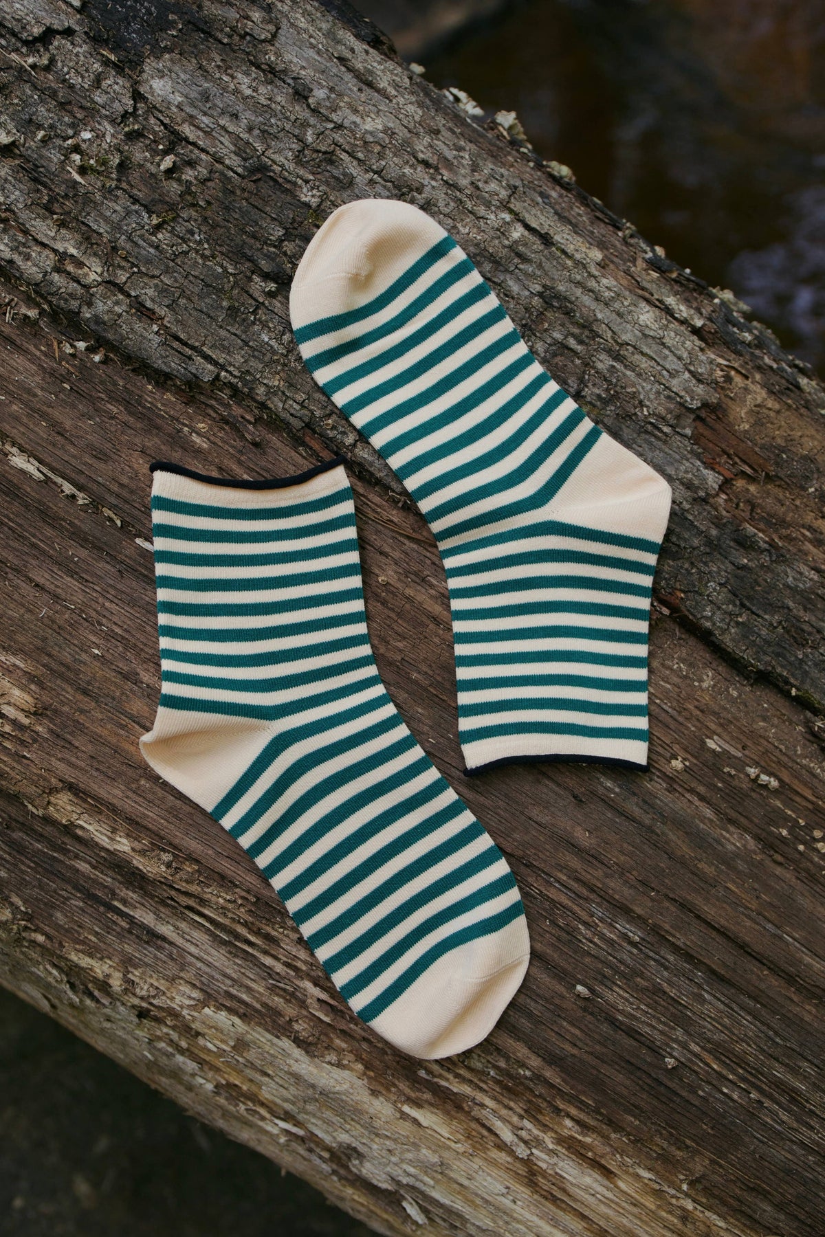 Wild Fern Socks