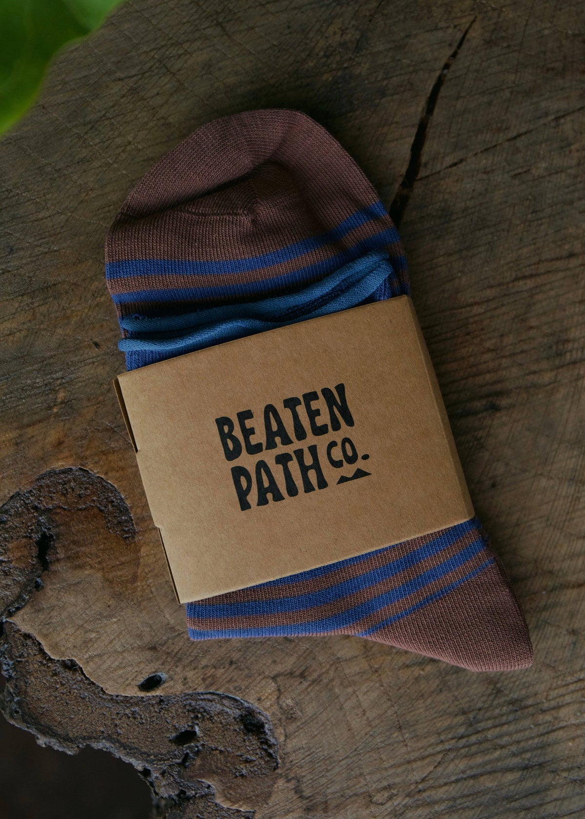Striped Cabin Socks