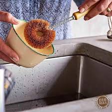 Dish Brush