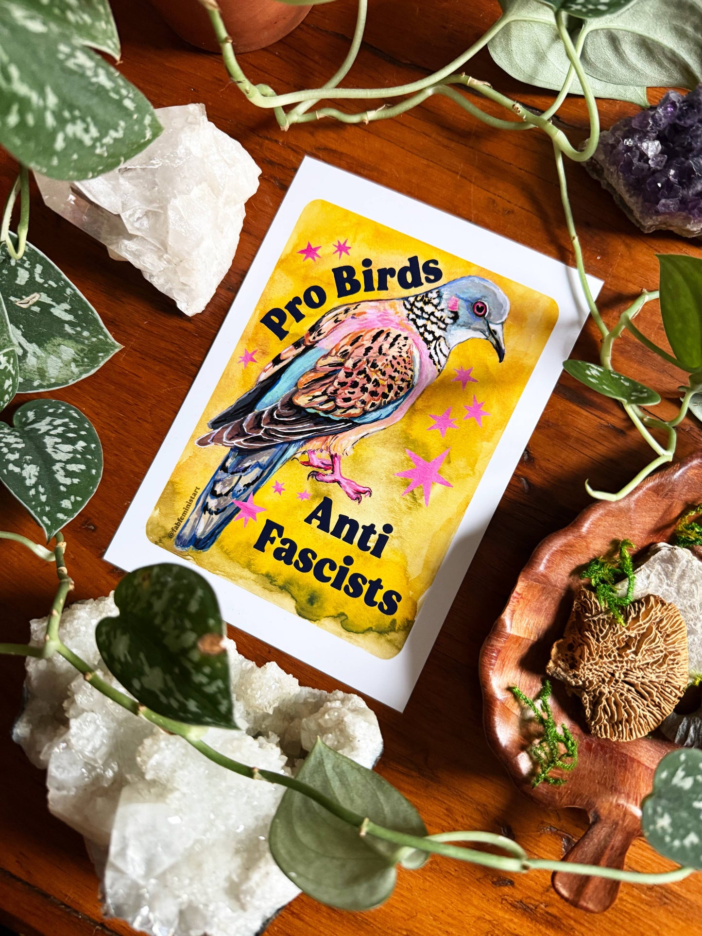 Pro Birds Anti Fascists Print