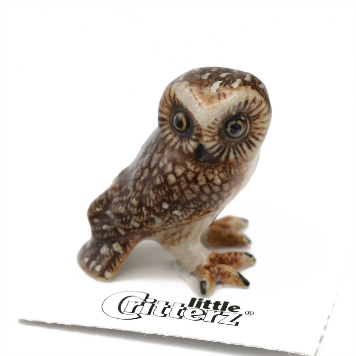 Saw-whet Owl Porcelain Miniature