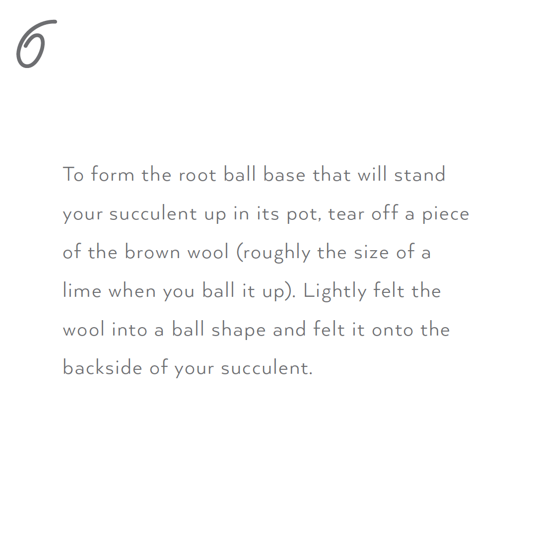 Needle Felting Kit - Succulent