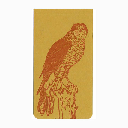 Northern goshawk jotter notepad