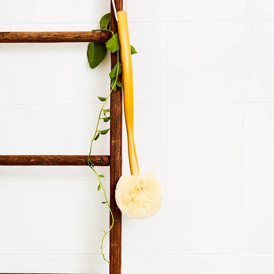 Back Body Brush w/Handle