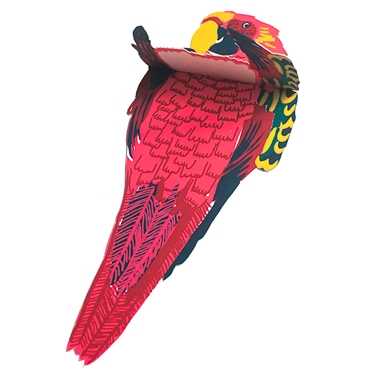 Parrot Card