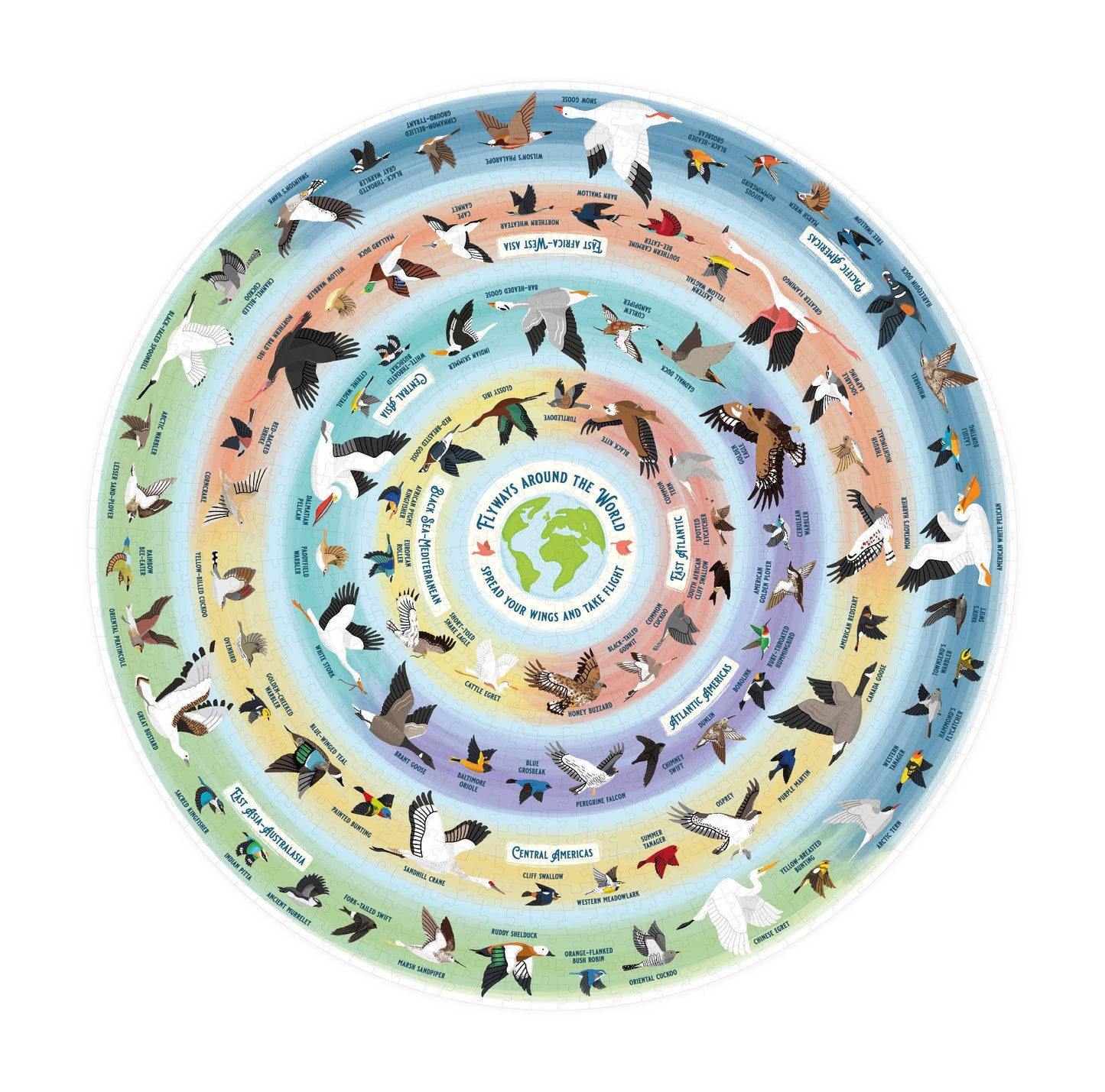 Circular diagram with illustrations of birds and text on a white background