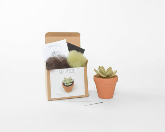 Needle Felting Kit - Succulent