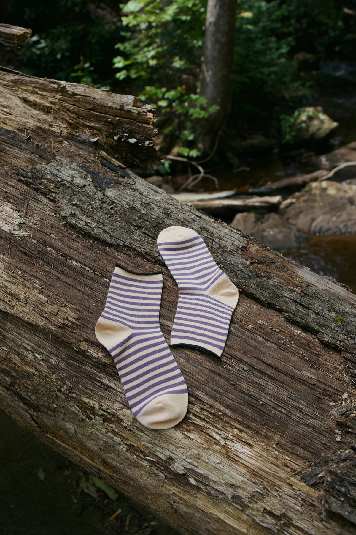 Violet Meadow Socks
