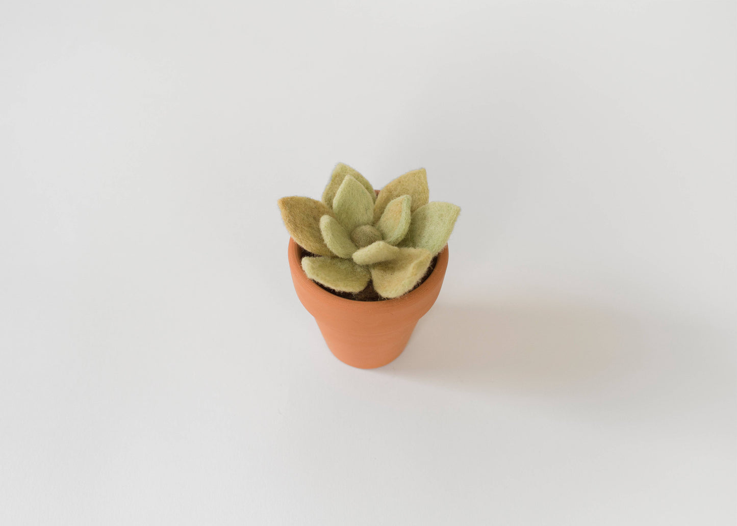 Needle Felting Kit - Succulent