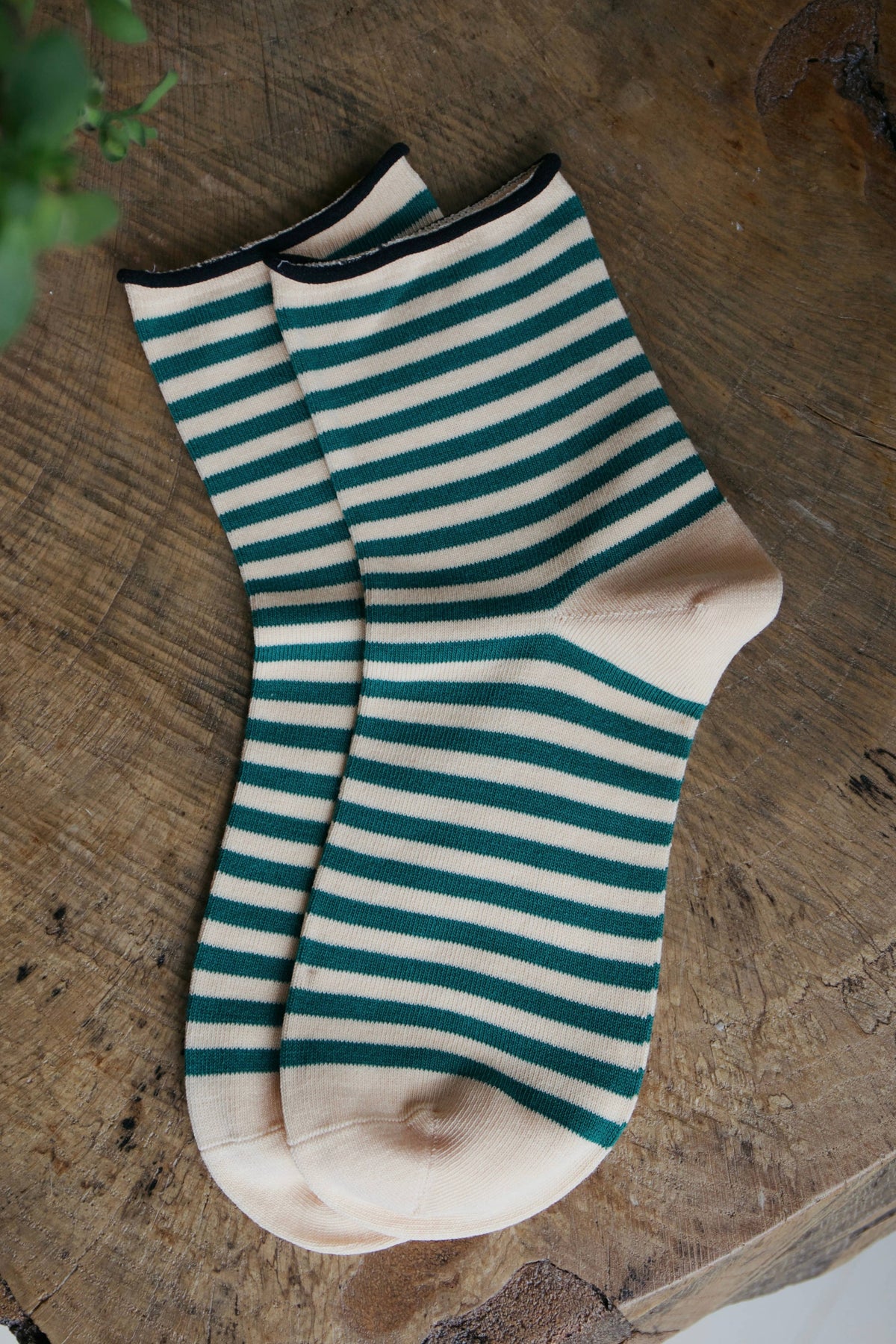 Wild Fern Socks