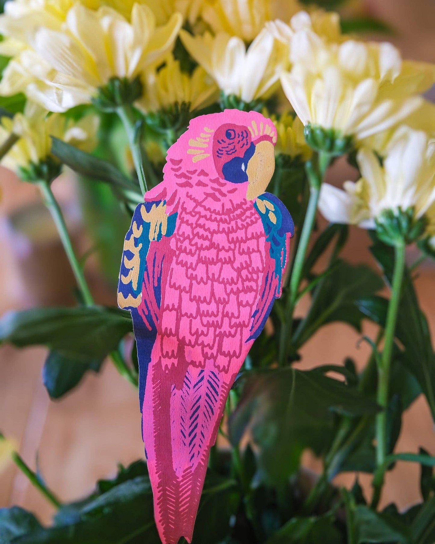 Parrot Card