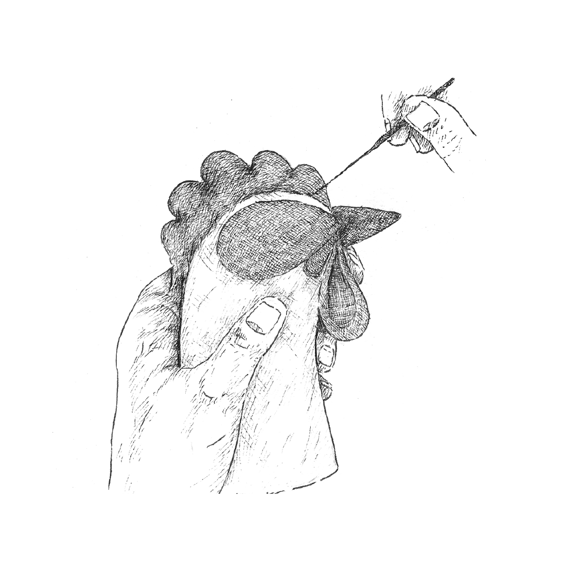 Needle Felting Kit - DIY - Hen