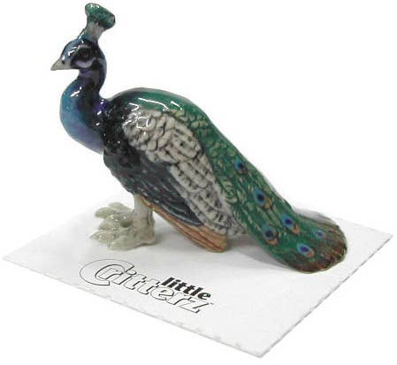 Peacock Porcelain Miniature