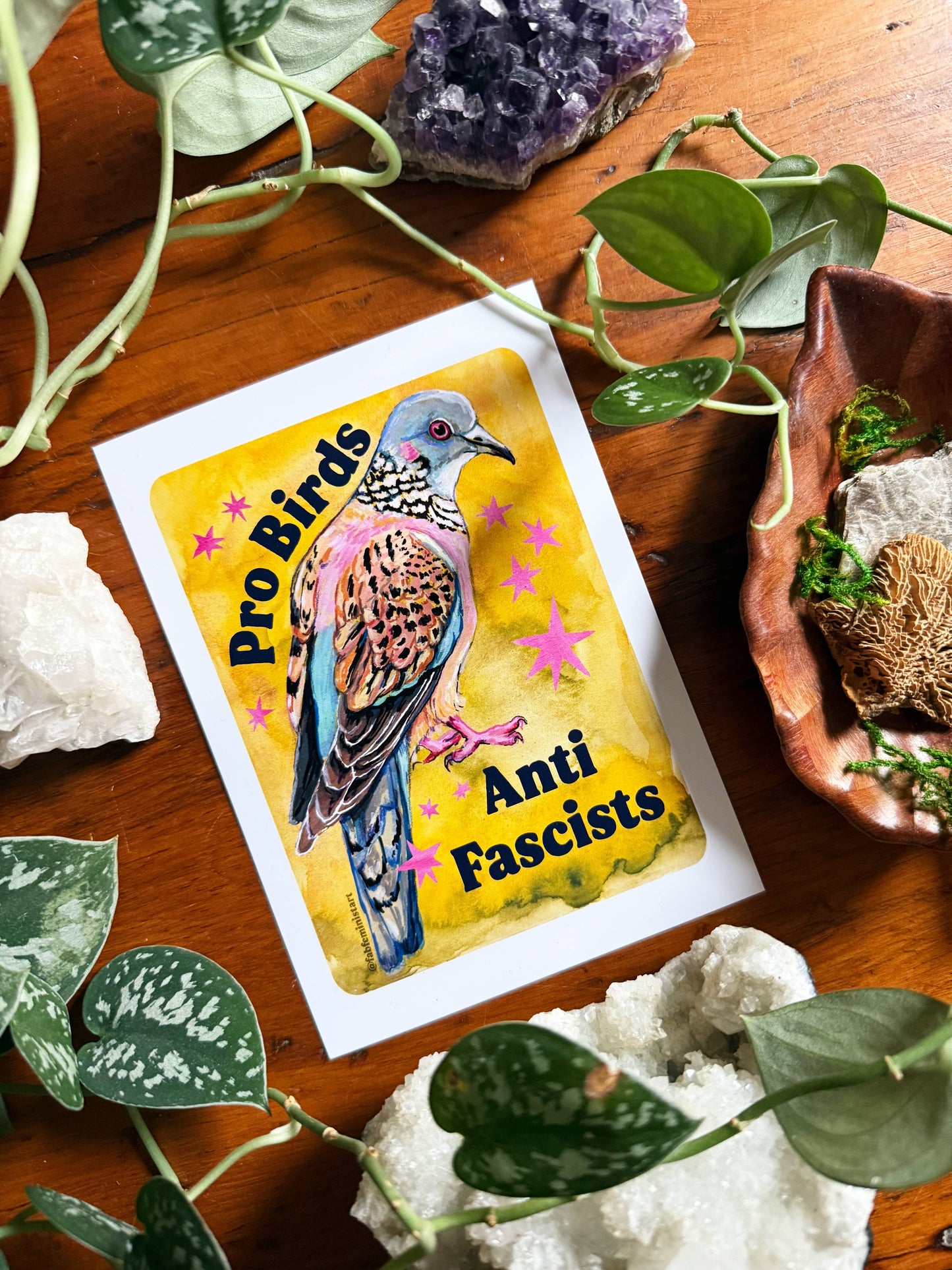Pro Birds Anti Fascists Print