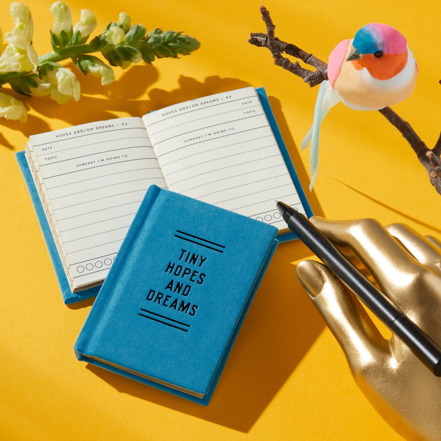 BraTiny Hopes And Dreams Tiny Diary