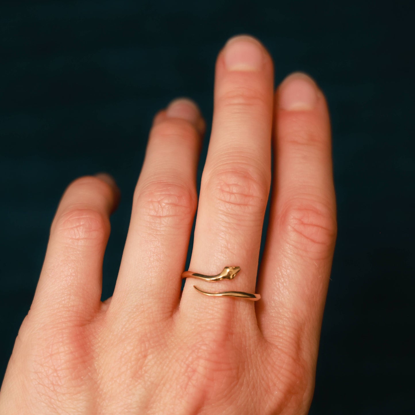 Sterling Silver Snake Ring
