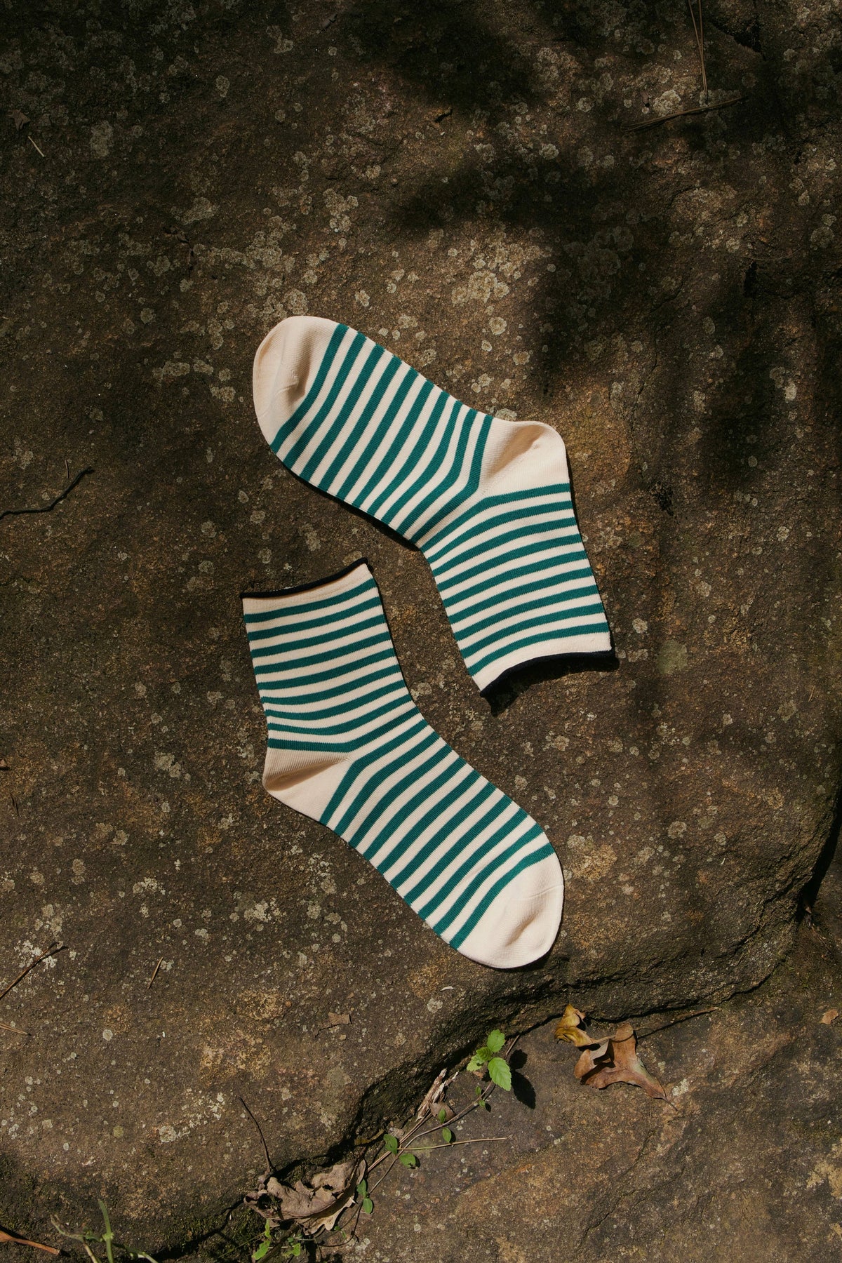 Wild Fern Socks