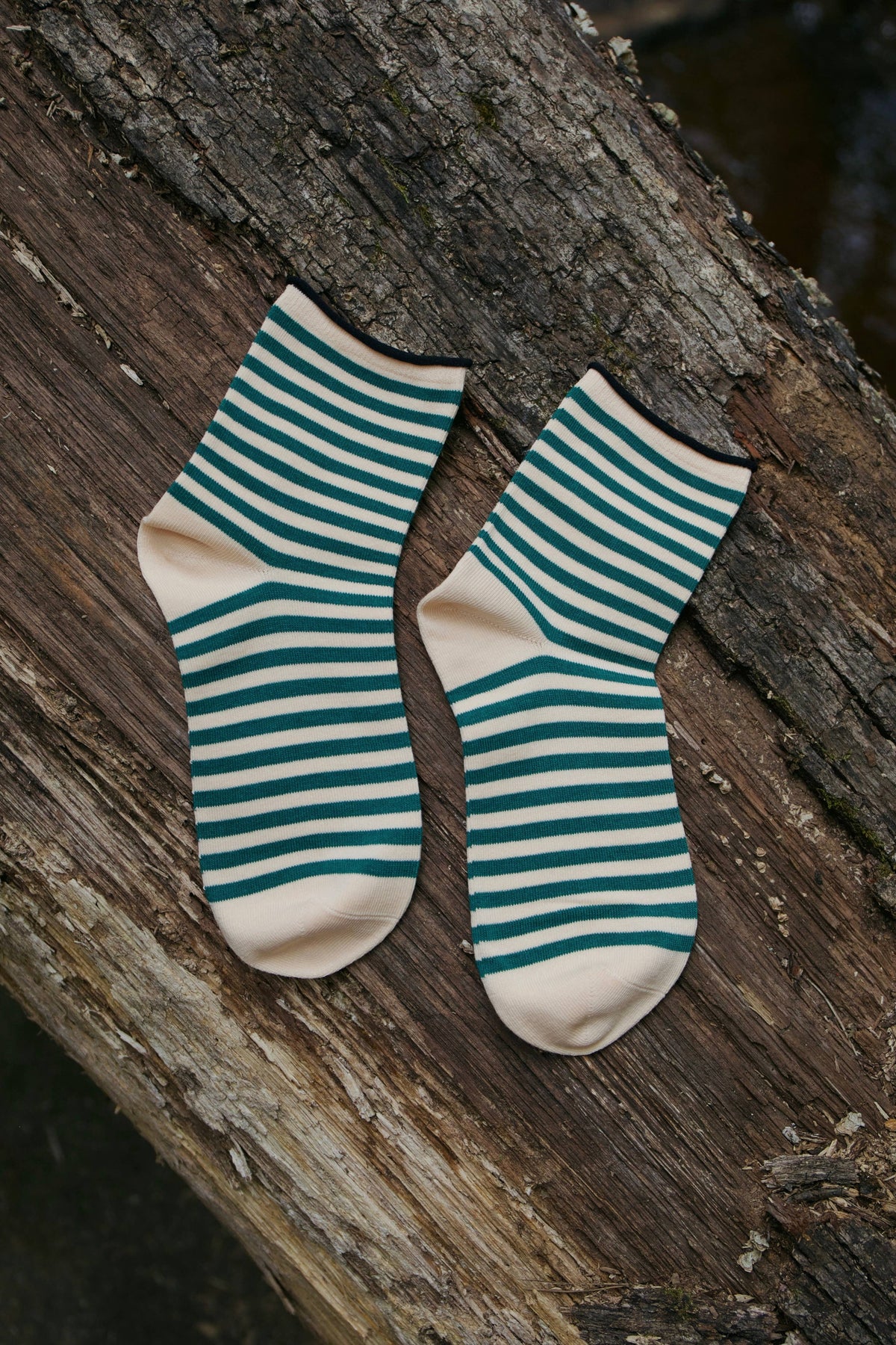 Wild Fern Socks