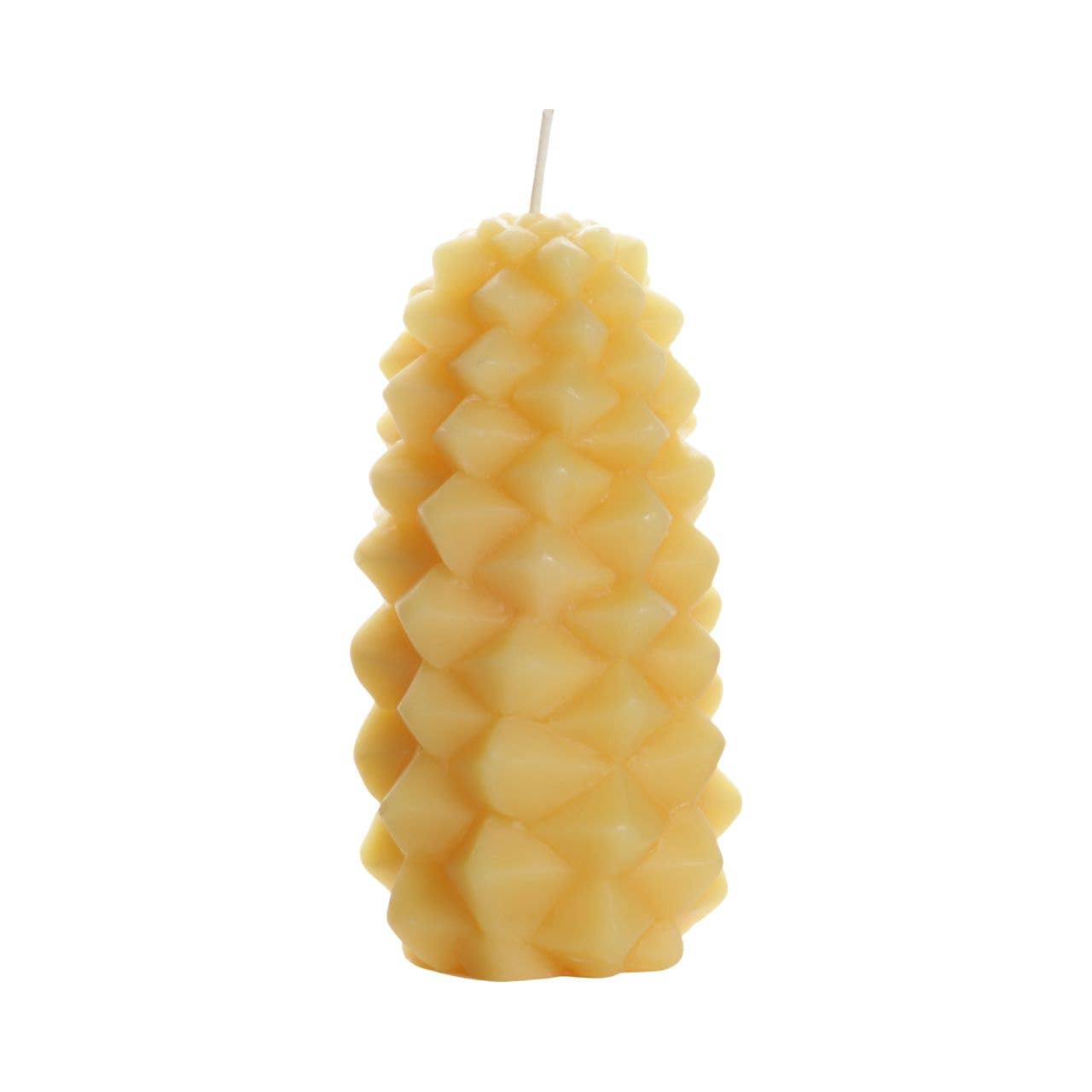 Beeswax Pinecone Candle