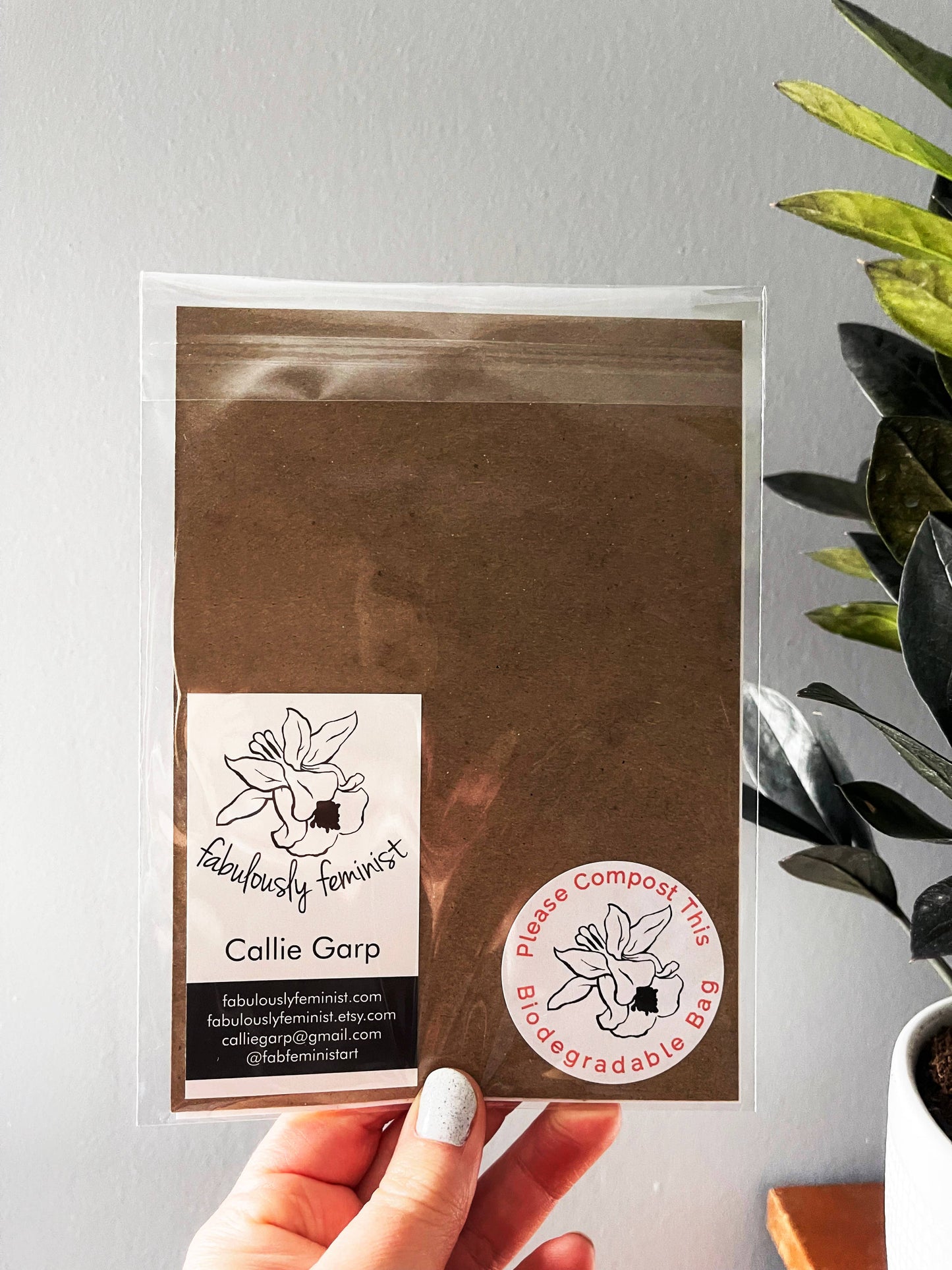 Pro Birds Anti Fascists Print