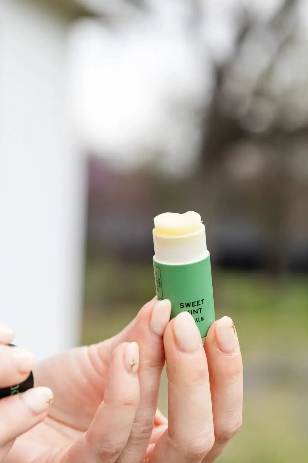 Sweet Mint Organic Lip Balm
