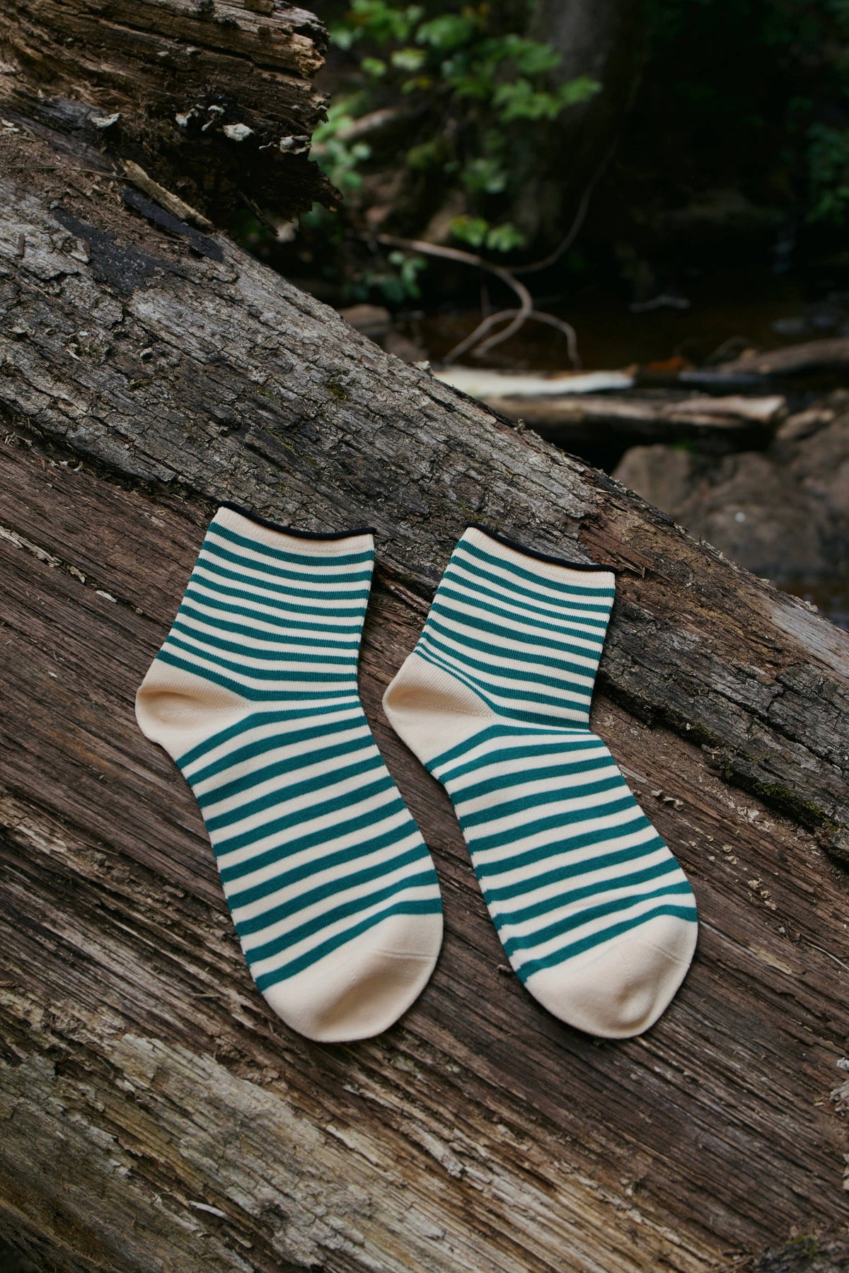 Wild Fern Socks
