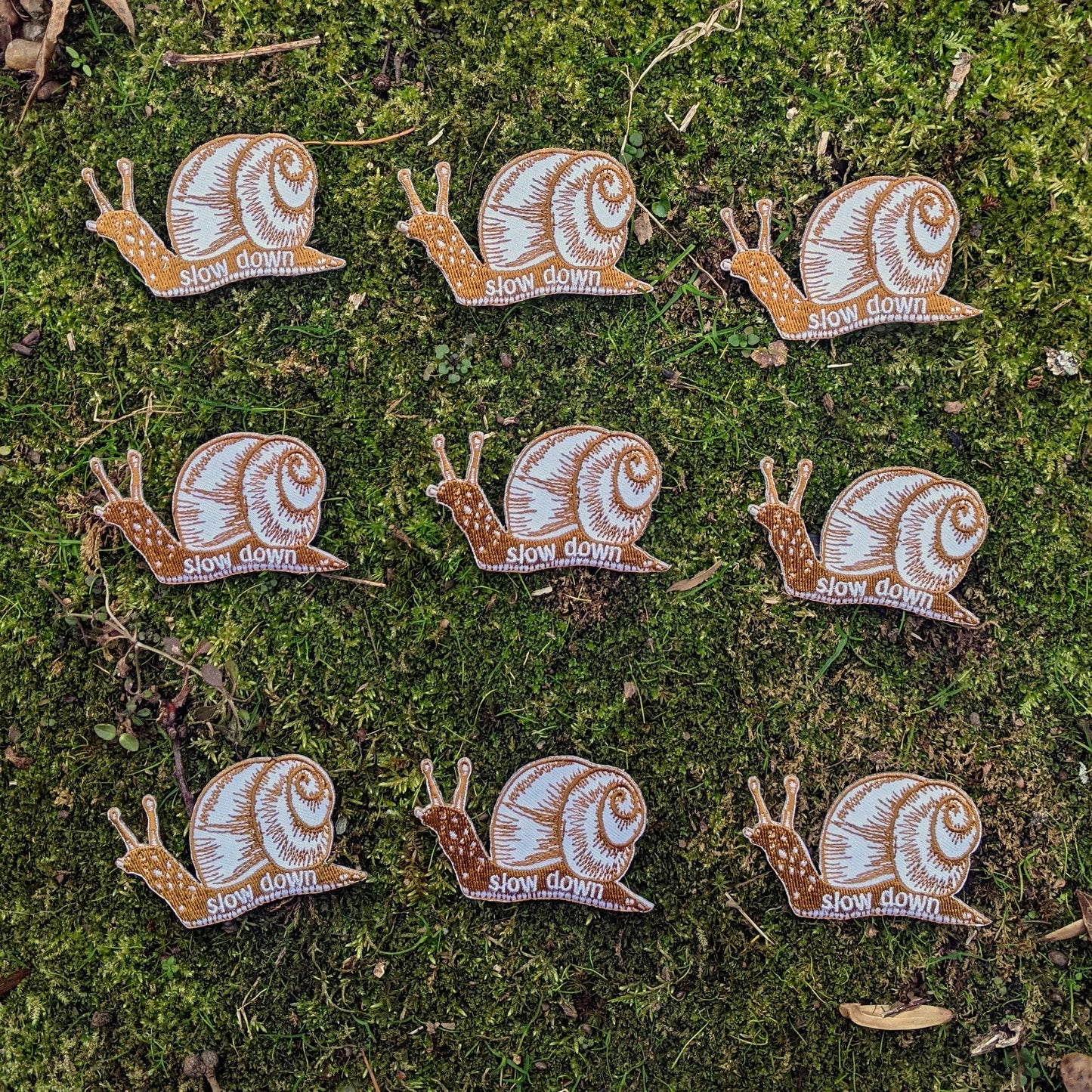 Slow Down Snail Iron on Patch
