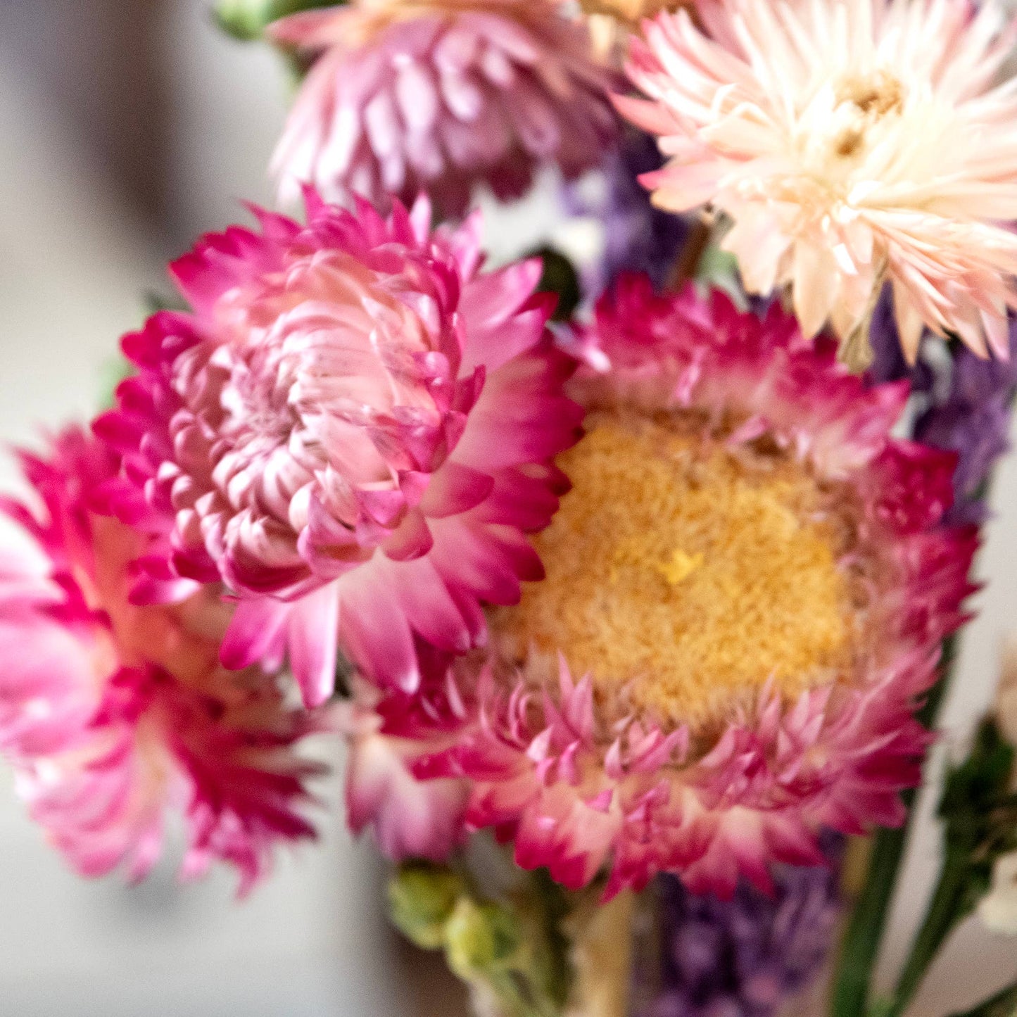 Strawflower & Larkspur Bouquet Bundle