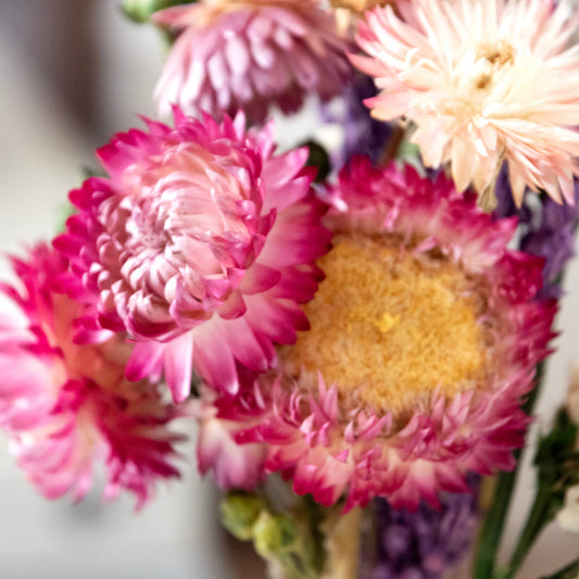 Strawflower & Larkspur Bouquet Bundle