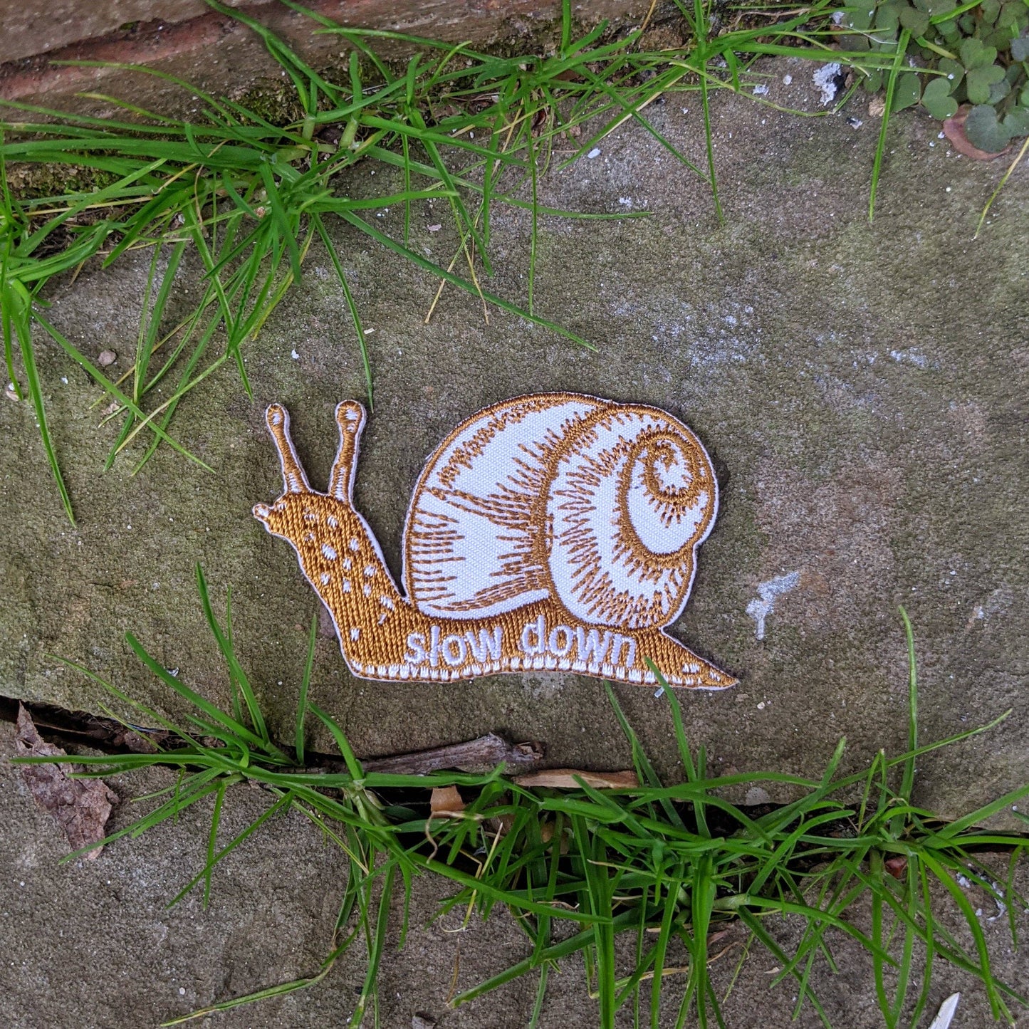 Slow Down Snail Iron on Patch