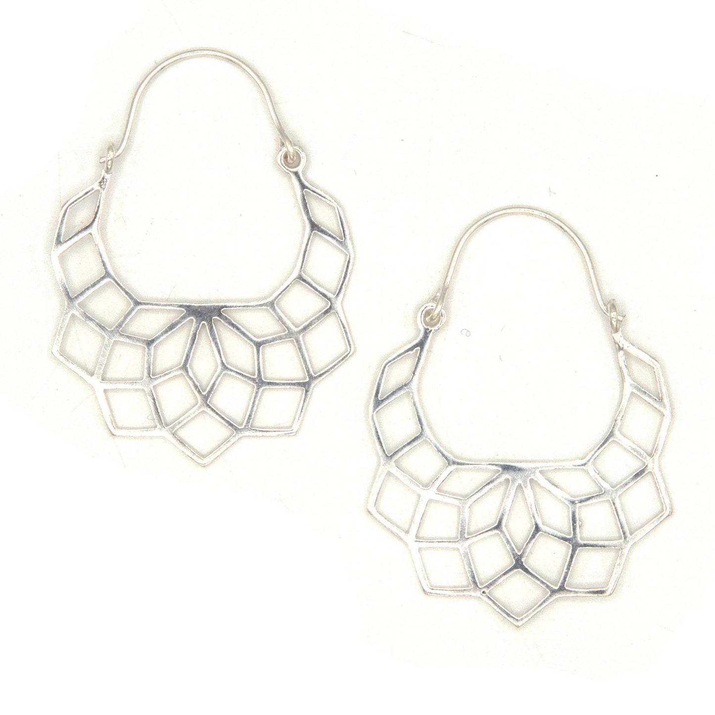 Geometric Lattice Hoops