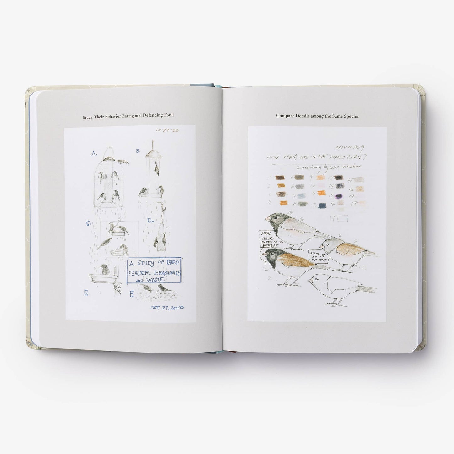 Backyard Bird Journal