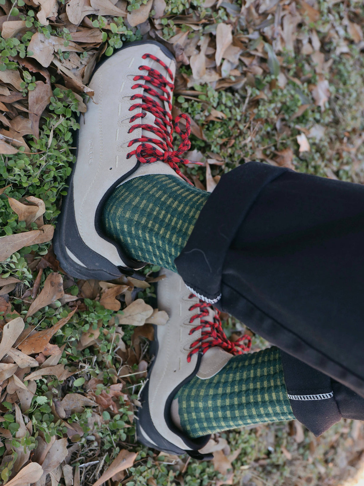 Jade Vine Socks
