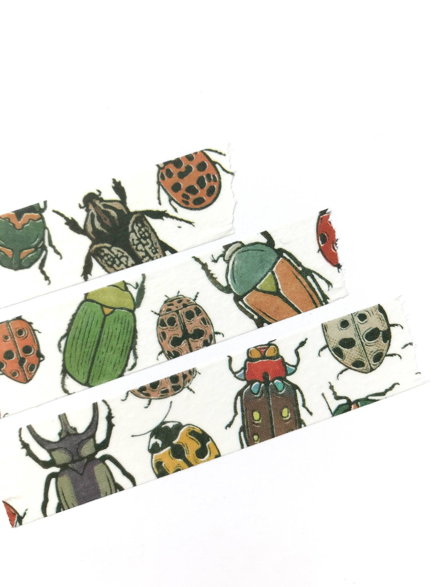 Beetle Insect Washi Tape