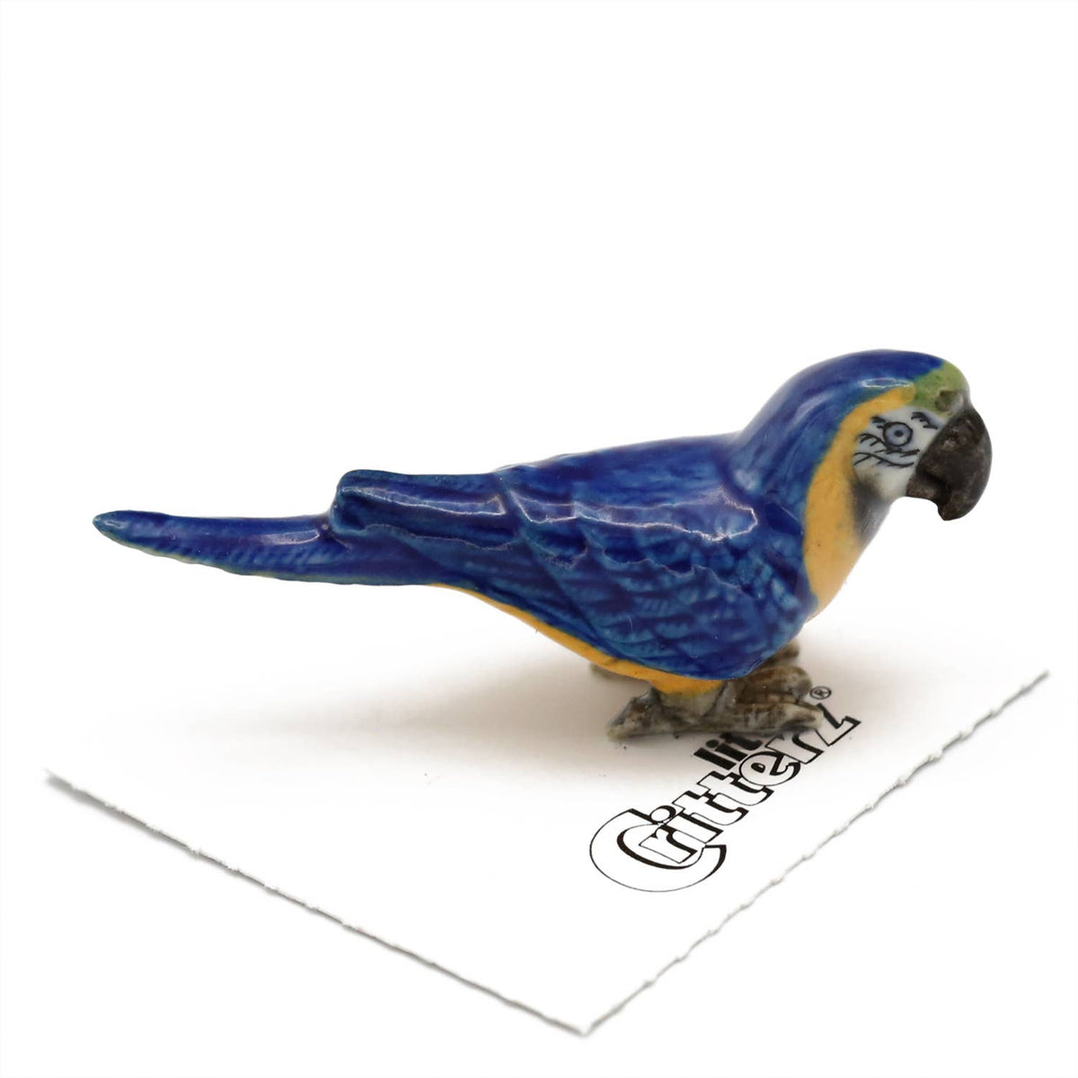 Macaw Porcelain Miniature