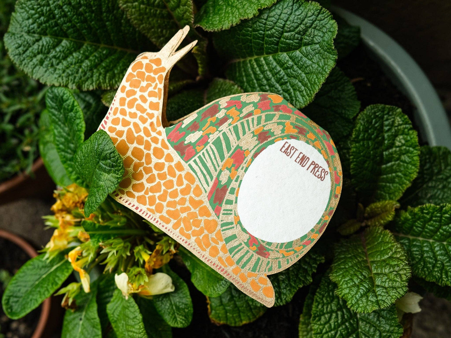 Snail Card