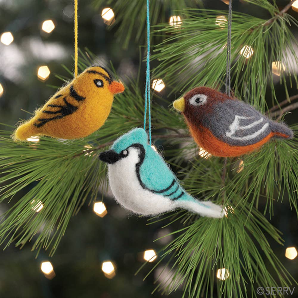 Felted Bird Ornament Set