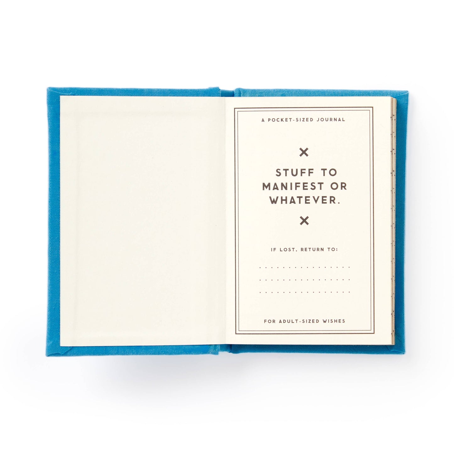 BraTiny Hopes And Dreams Tiny Diary