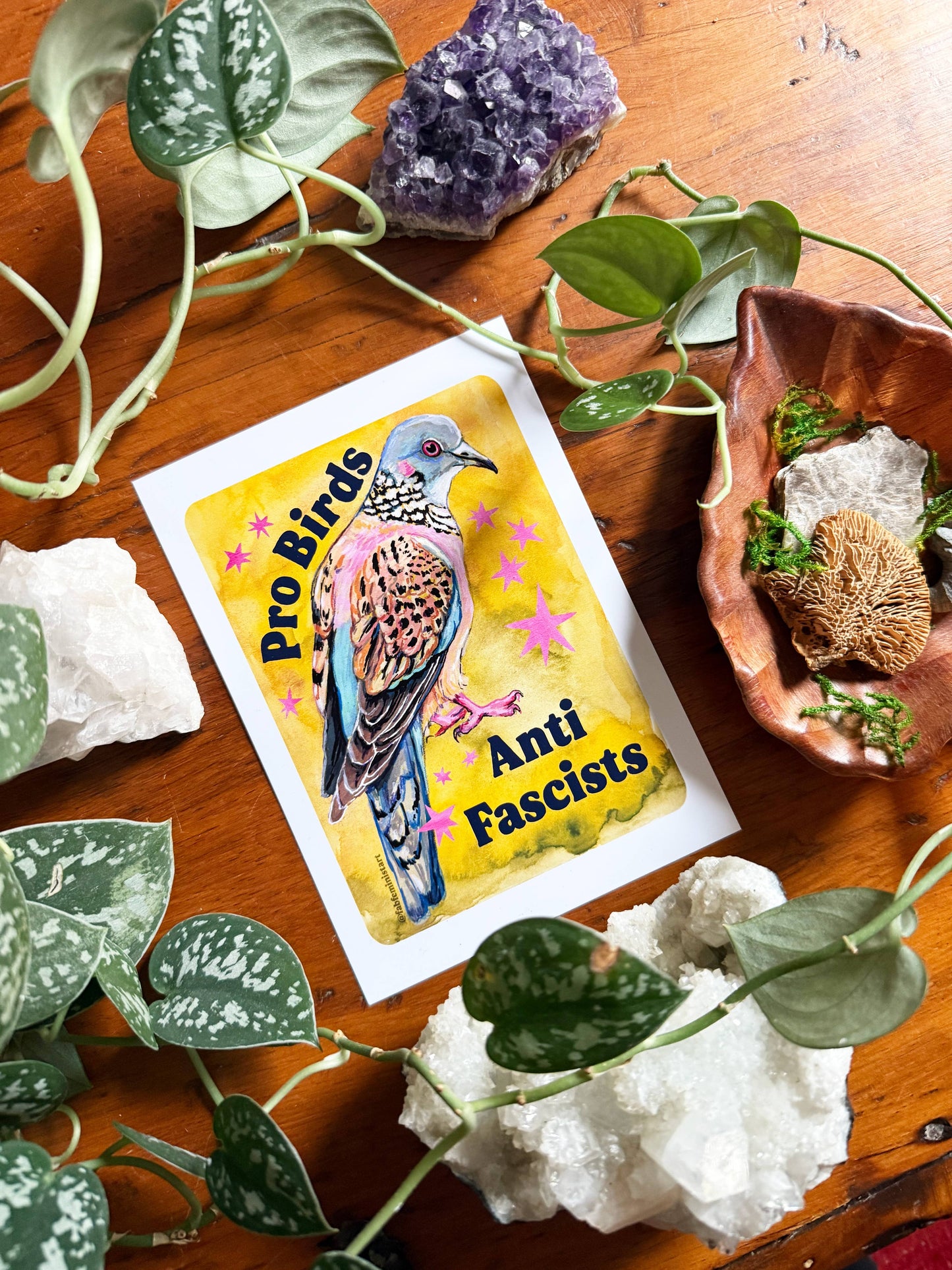 Pro Birds Anti Fascists Print