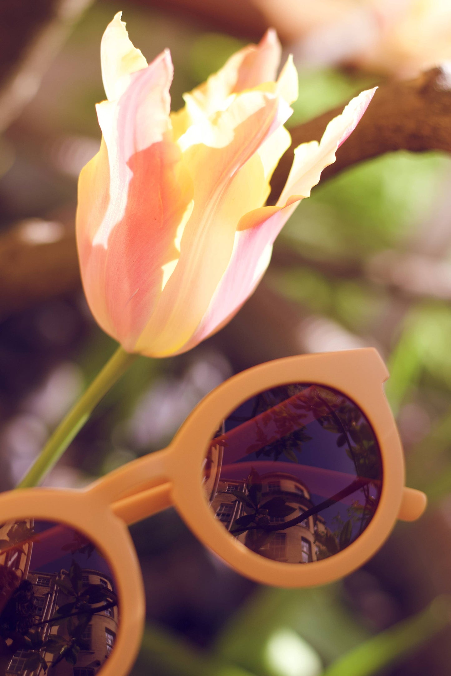 Classic Polarized Sustainable Sunglasses